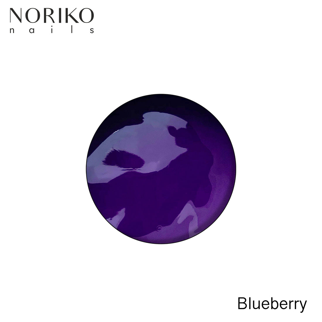 Noriko Paint Gel - Blueberry 5g